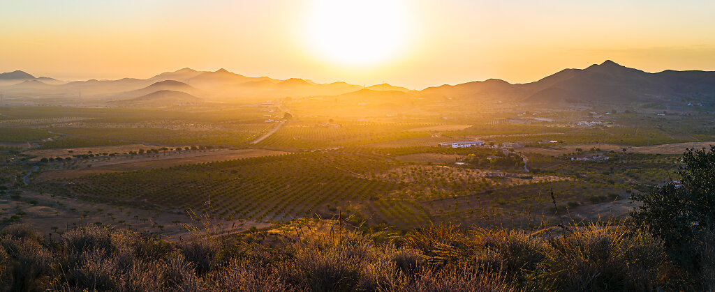 Andalusisk morgengry