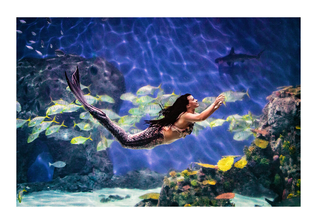 115 The Mermaid